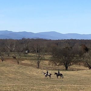 Meet your Posher, Annie